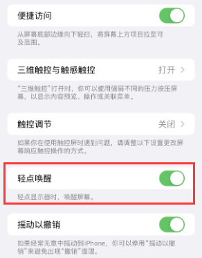 定安苹果授权维修站分享iPhone轻点无法唤醒怎么办