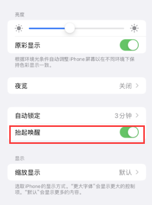 定安苹果授权维修站分享iPhone轻点无法唤醒怎么办