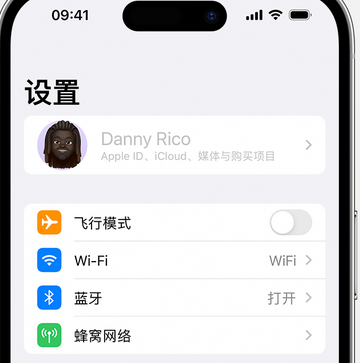 定安appleID维修服务iPhone设置中Apple ID显示为灰色无法使用