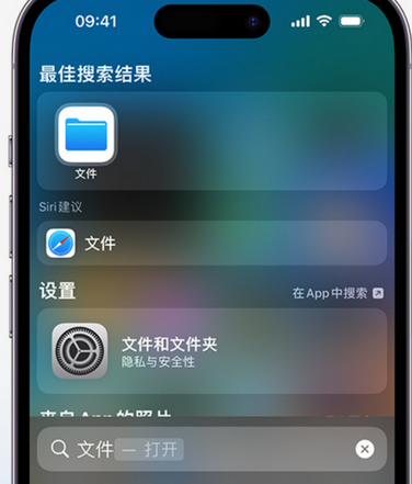 定安apple维修中心分享iPhone文件应用中存储和找到下载文件