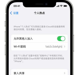 定安apple服务站点分享iPhone上个人热点丢失了怎么办 