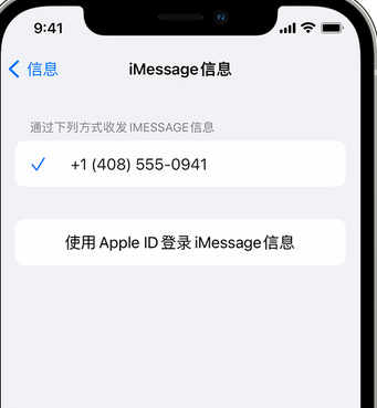 定安apple维修iPhone上无法正常发送iMessage信息 