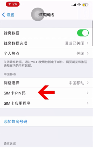 定安苹果14维修网分享如何给iPhone14的SIM卡设置密码 