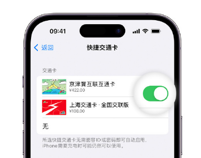 定安apple维修点分享iPhone上更换Apple Pay快捷交通卡手绘卡面 