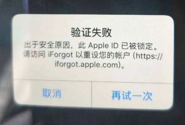 定安iPhone维修分享iPhone上正常登录或使用AppleID怎么办 