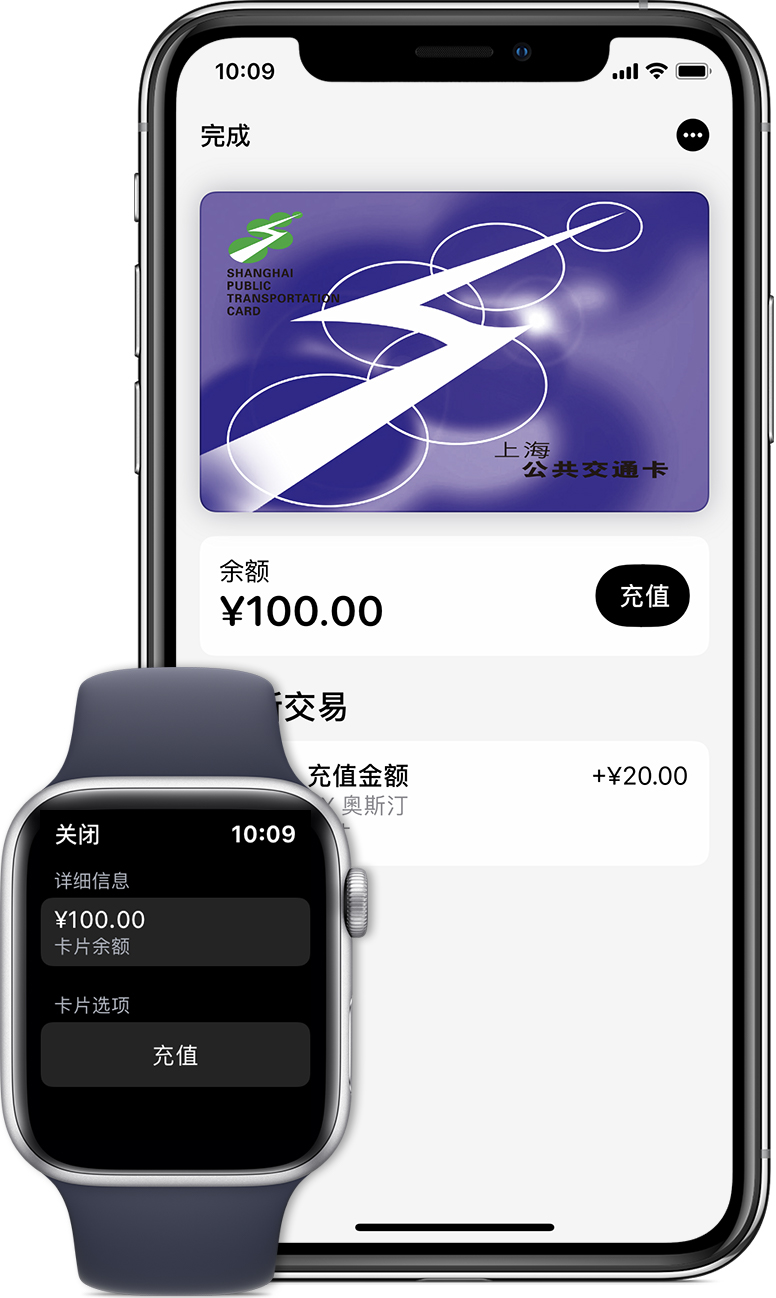 定安苹果手机维修分享:用 Apple Pay 刷交通卡有哪些优势？如何设置和使用？ 