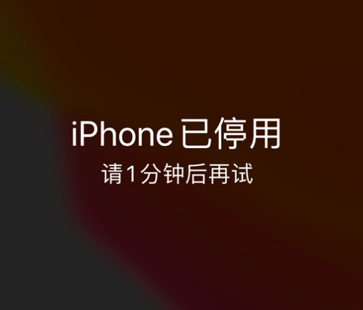 定安苹果手机维修分享:iPhone 显示“不可用”或“已停用”怎么办？还能保留数据吗？ 