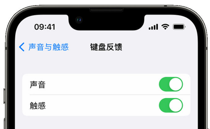 定安苹果手机维修分享iPhone 14触感键盘使用方法 