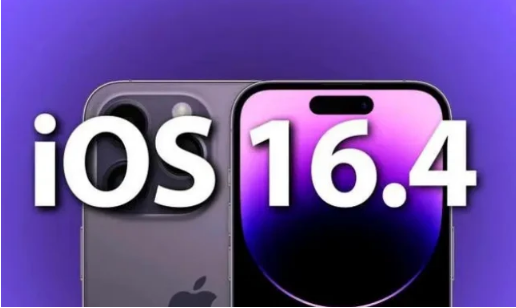 定安苹果14维修分享：iPhone14可以升级iOS16.4beta2吗？ 