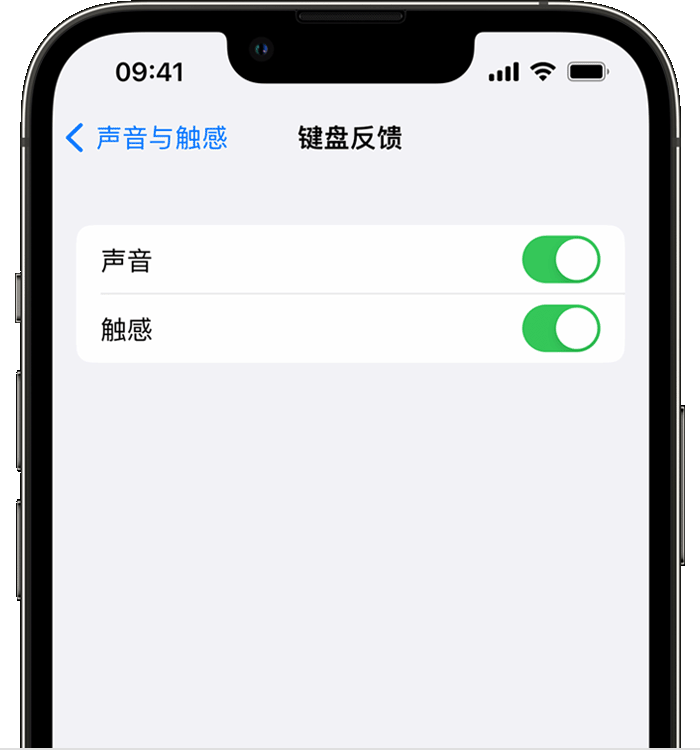 定安苹果14维修店分享如何在 iPhone 14 机型中使用触感键盘 