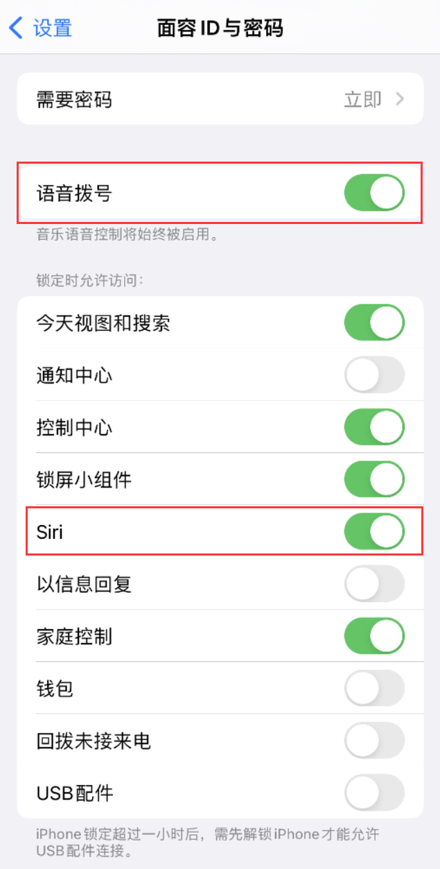 定安苹果维修网点分享不解锁 iPhone 的情况下通过 Siri 拨打电话的方法 