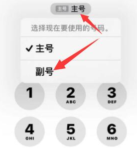 定安苹果14维修店分享iPhone 14 Pro Max使用副卡打电话的方法 