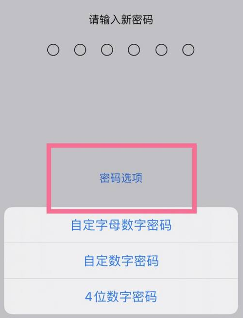 定安苹果14维修分享iPhone 14plus设置密码的方法 