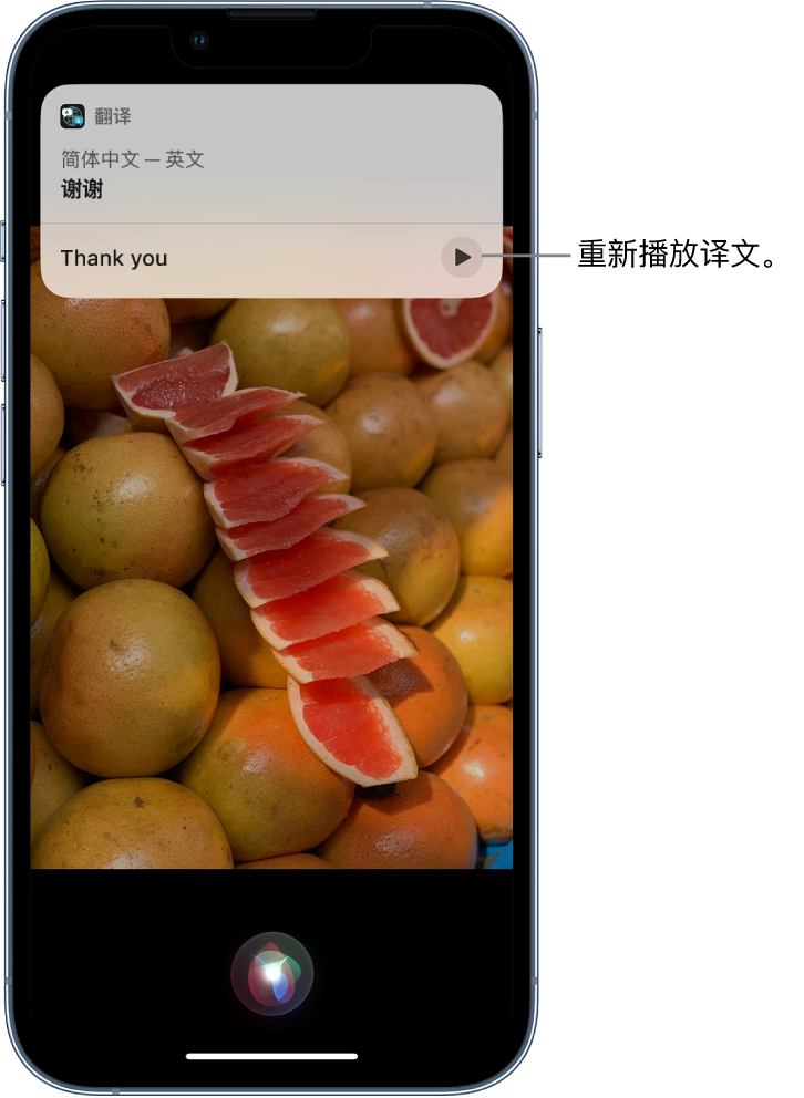 定安苹果14维修分享 iPhone 14 机型中使用 Siri：了解 Siri 能帮你做什么 