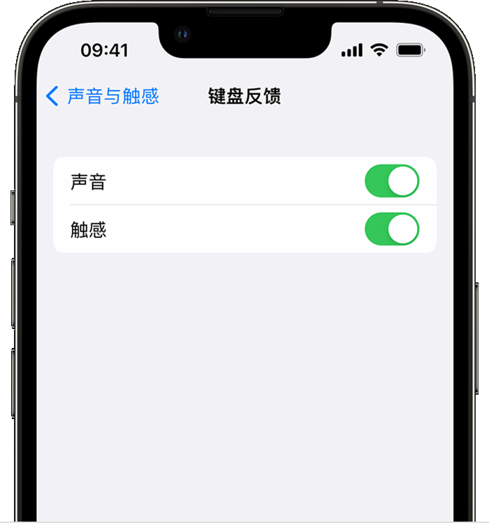 定安苹果14维修分享iPhone 14 系列机型如何开启键盘声音或触感反馈 