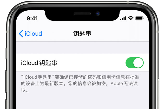 定安苹果手机维修分享在 iPhone 上开启 iCloud 钥匙串之后会储存哪些信息 