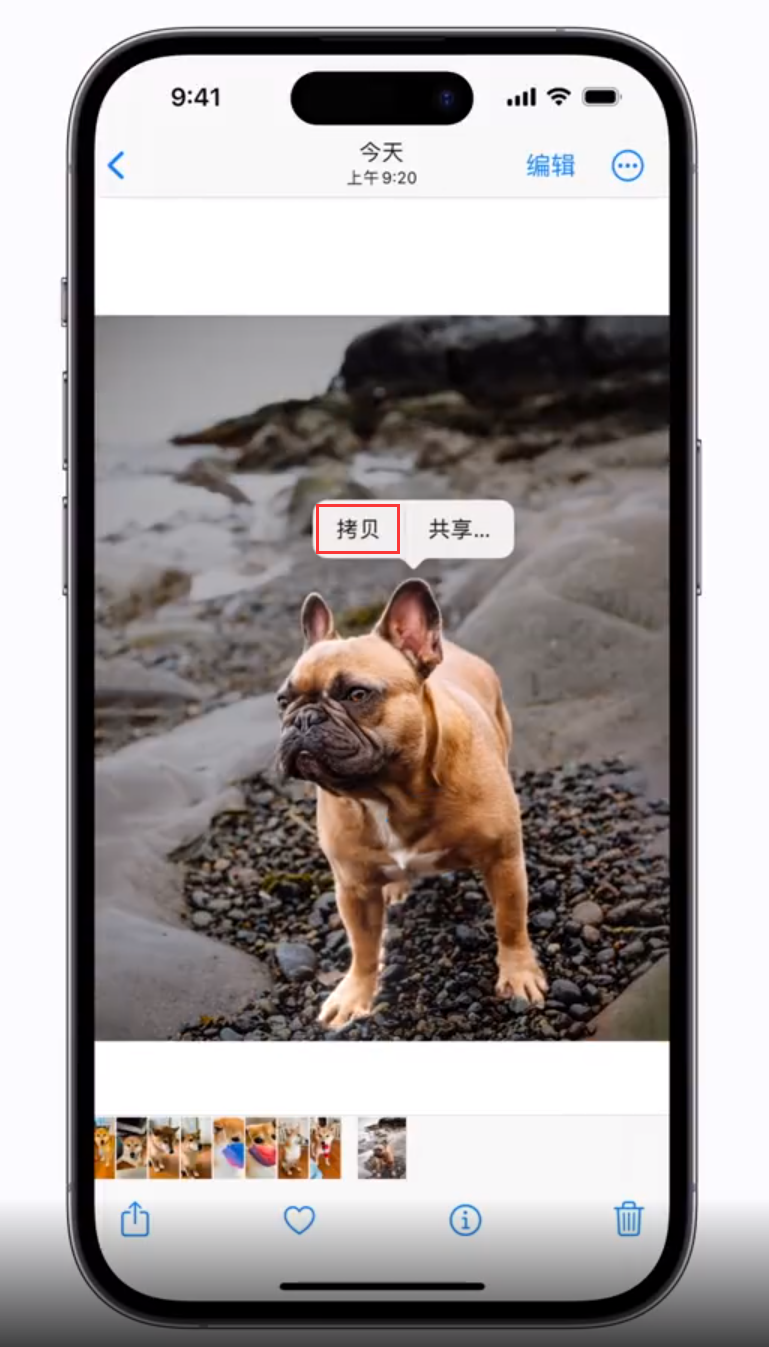 定安苹果手机维修分享 iOS 16 自带一键抠图功能 