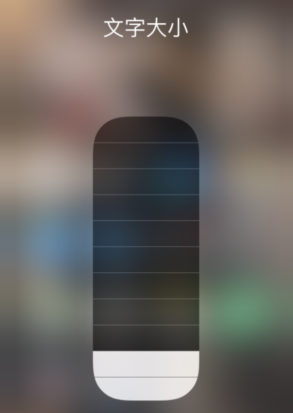 定安苹果手机维修分享小技巧：在 iPhone 控制中心快速调节字体大小 