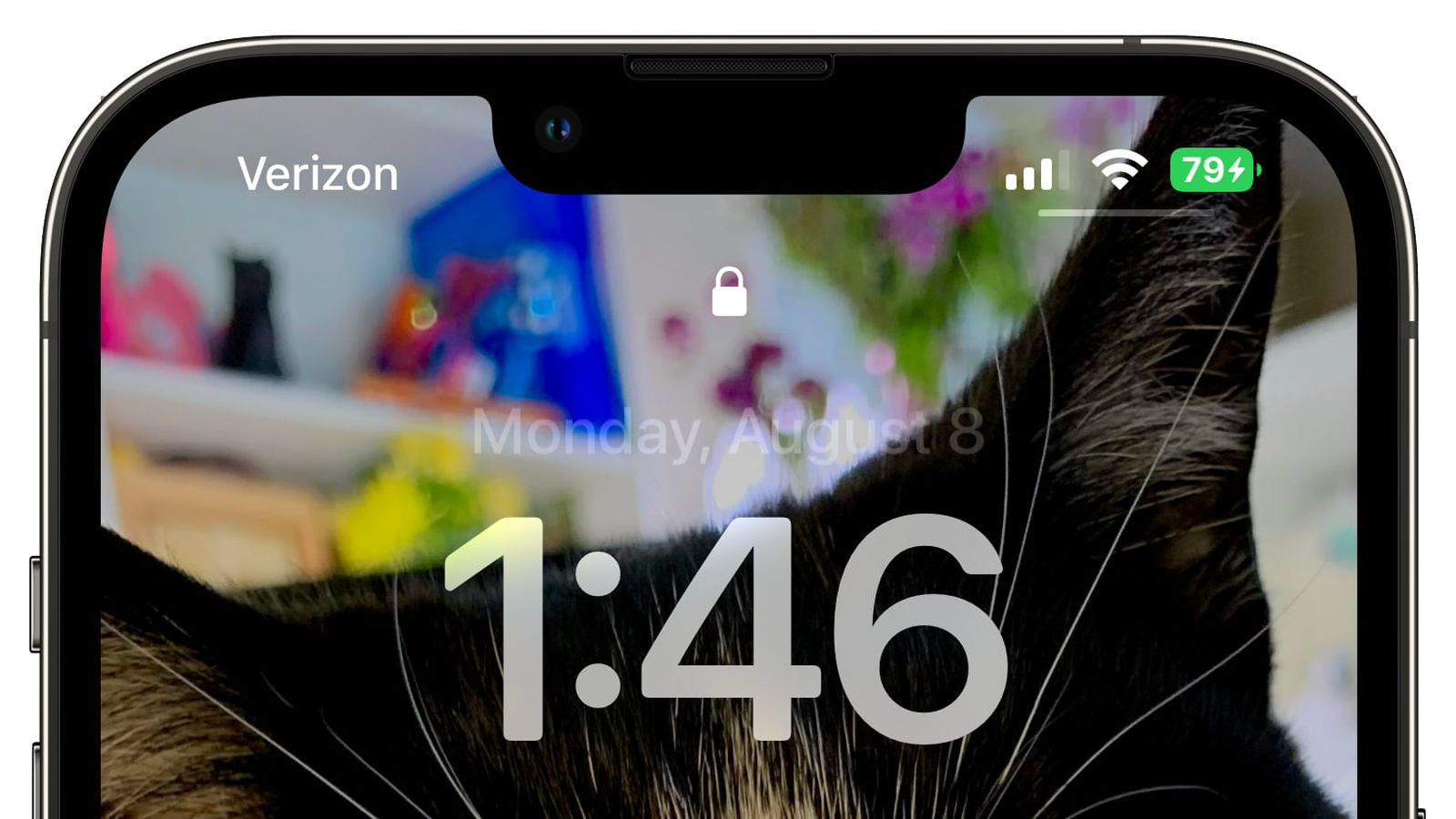 定安苹果手机维修分享iOS 16 beta 5 支持状态栏显示电池百分比，如何开启？支持哪些机型 