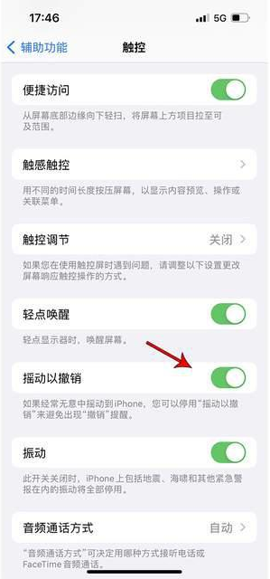 定安苹果手机维修分享iPhone手机如何设置摇一摇删除文字 