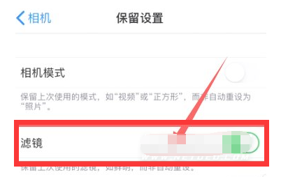定安苹果13维修分享iPhone13拍照有绿点是怎么回事 