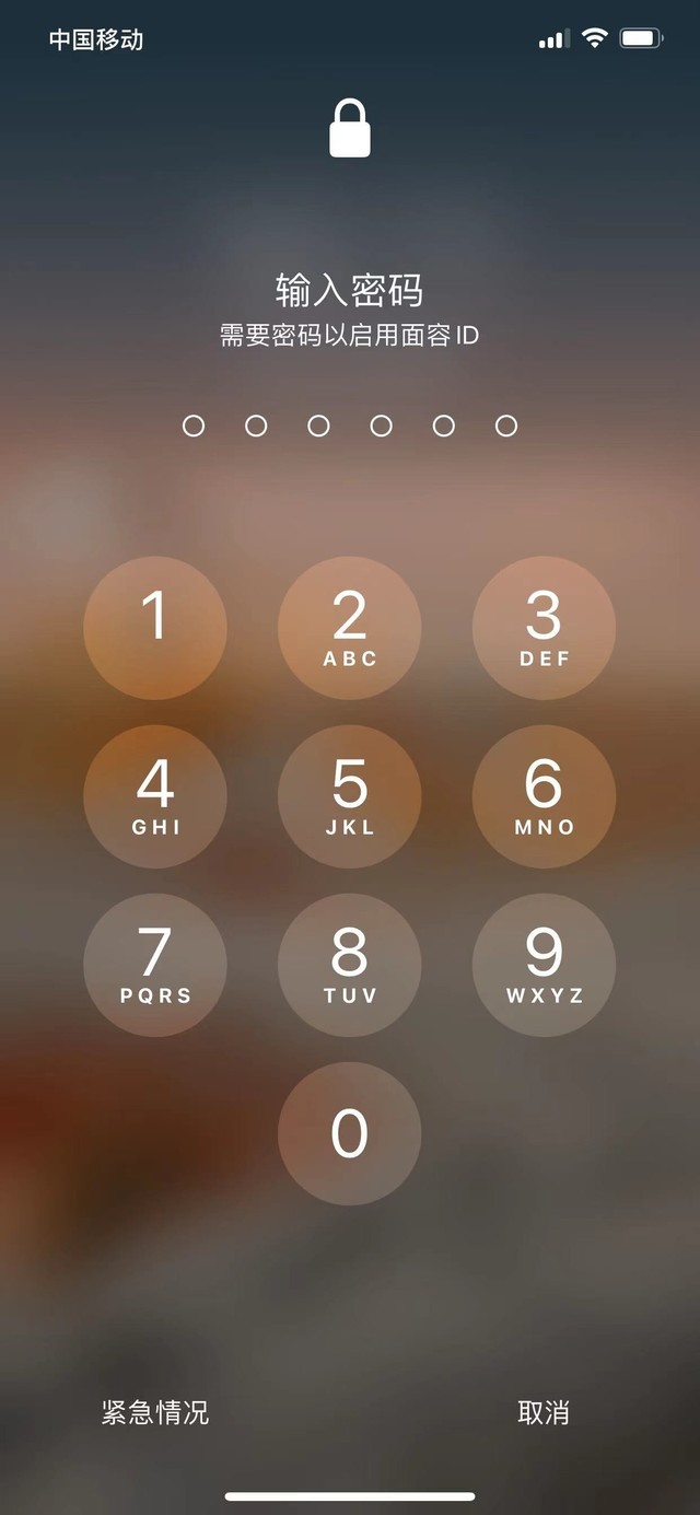 定安苹果13维修分享iPhone 13加强锁屏功能有什么用 