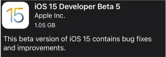 定安苹果手机维修分享如何升级到iOS15.0 beta5 