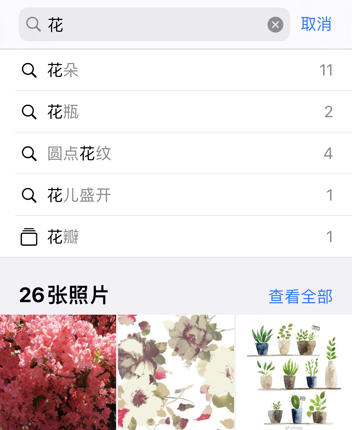 定安苹果手机维修分享iPhone 小技巧 