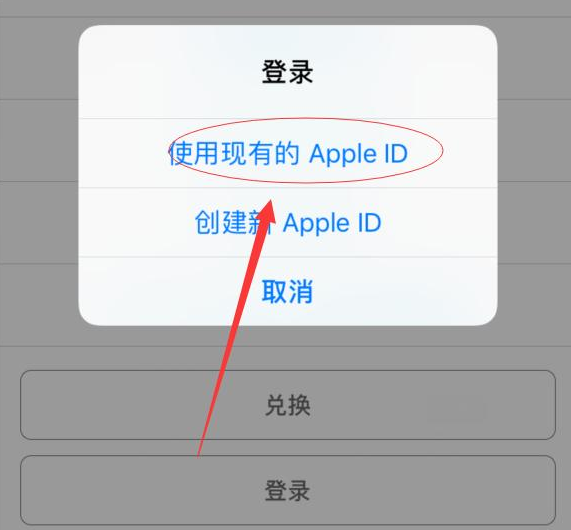定安苹果手机维修分享两台iPhone设备可以同时登录一个Apple ID吗 