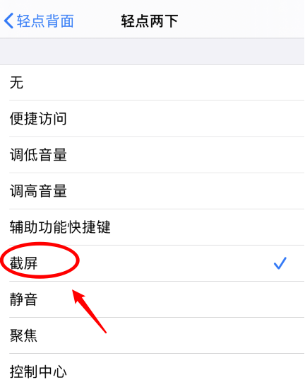 定安苹果手机维修分享iPhone12如何启用双击截屏 