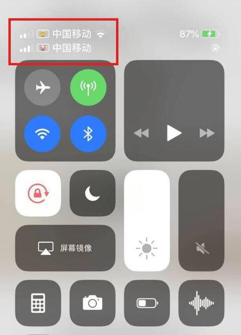 定安苹果手机维修分享为 iPhone 12 双卡设置标签 