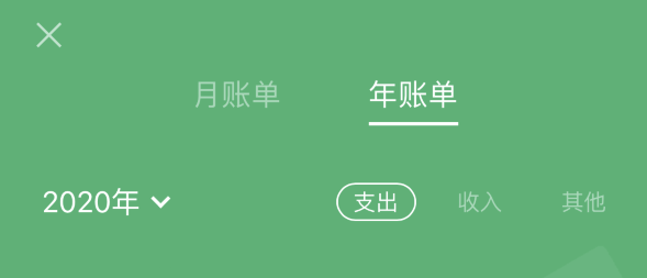 定安苹果手机维修分享如何在 iPhone 上查看支付宝和微信年支出账单 