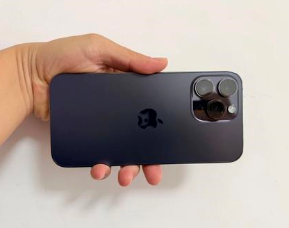 定安苹果维修点分享iPhone 14 Pro Max发烫多重诱因剖析 